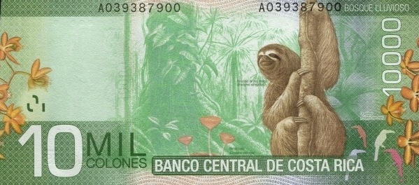 Rainforest ("Bosque  Lluvioso"), orchid  flower, mushroom cop, three-toed sloth, birds 