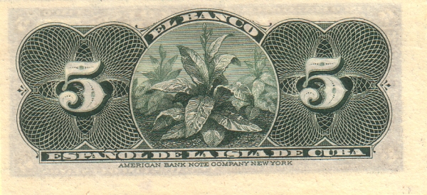  Tobacco plant