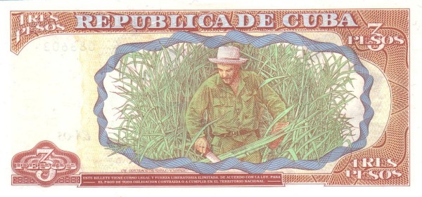  "Che" Guevara cutting  sugar cane