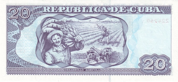  Banana harvest,  field work ("Development of Agriculture")
