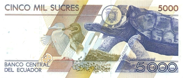  Animals on  Galápagos Islands