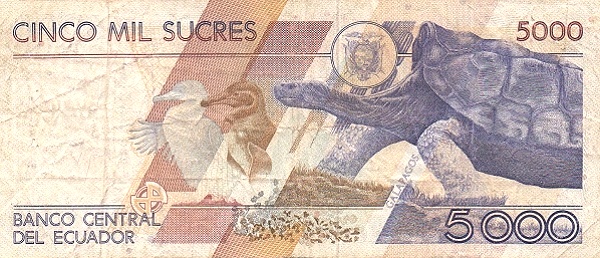  Animals on  Galápagos Islands