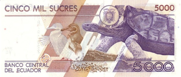  Animals on  Galápagos Islands