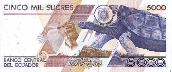  Animals on  Galápagos Islands