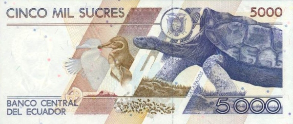  Animals on  Galápagos Islands