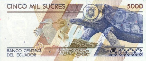  Animals on  Galápagos Islands