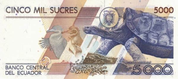  Animals on  Galápagos Islands