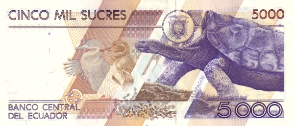  Animals on  Galápagos Islands