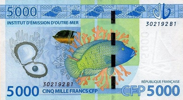  coral, oyster,  humphead wrasse (Cheilinus undulatus), Siapo cloth pattern (Futuna Island)