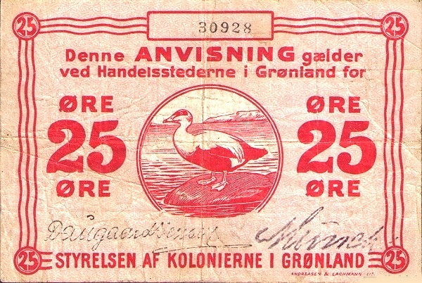  Eider duck