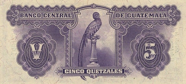  Quetzal bird