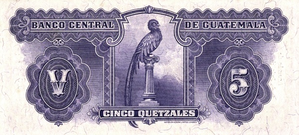  Quetzal bird