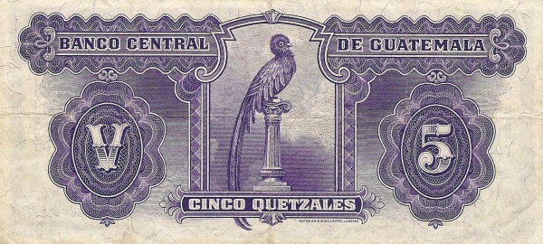  Quetzal bird