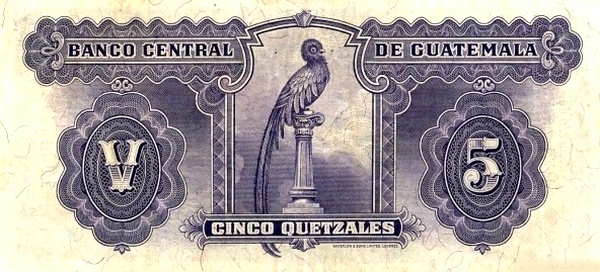  Quetzal bird
