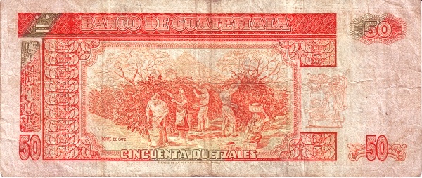  Coffee harvest