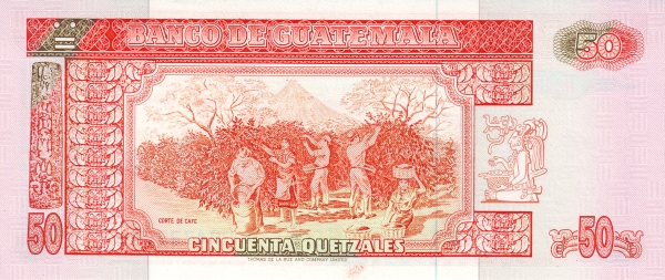  Coffee harvest
