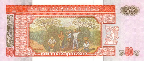 Coffee harvest