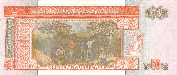  Coffee harvest