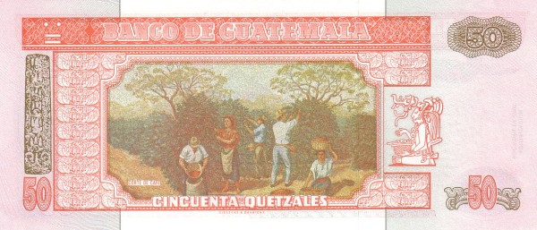  Coffee harvest