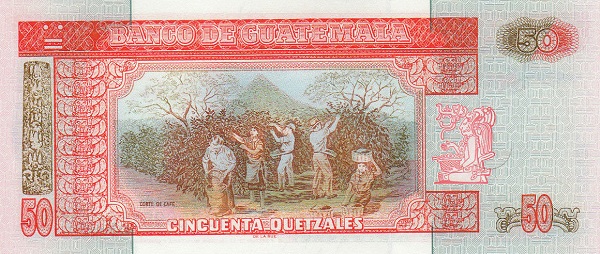  Coffee harvest