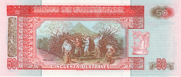  Coffee harvest