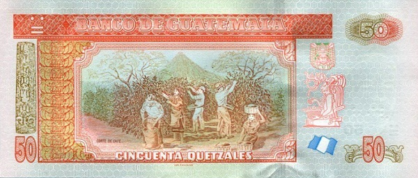  Coffee harvest