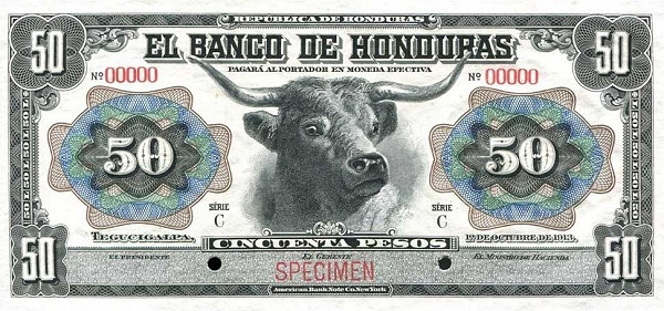 Longhorn bull's head
