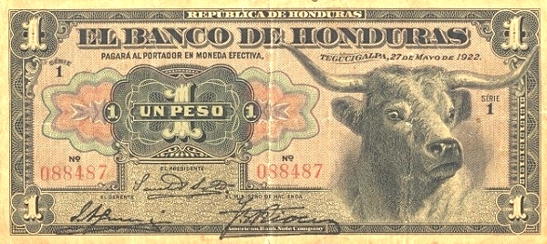 Longhorn bull's head