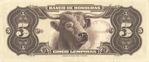  Longhorn bull's head