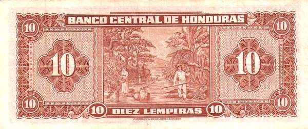 Coffee and banana harvest
