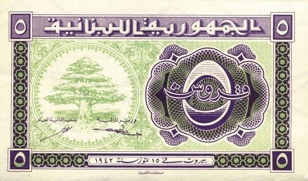  Cedar tree