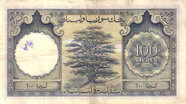  Cedar tree