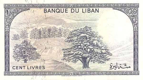  Cedar trees