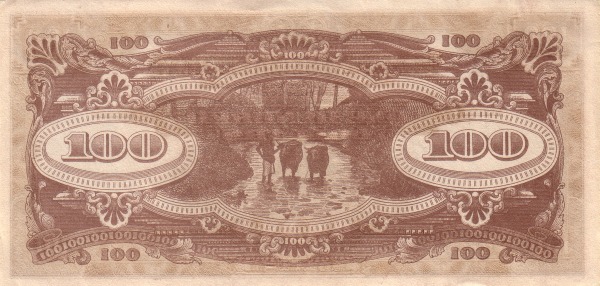  Water buffalos