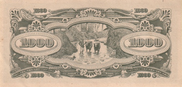  Water buffalos