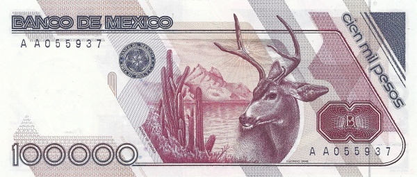  Desert mule deer