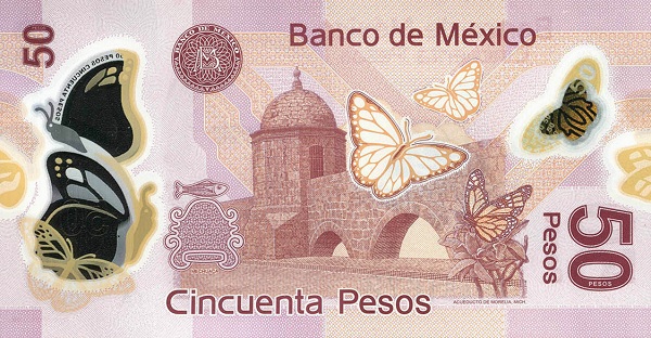  Acueducto in Morelia (Michoacán),  viceroy butterfly (limenitis archippus)