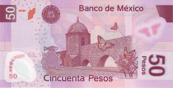  Acueducto in Morelia (Michoacán),  viceroy butterfly (limenitis archippus)