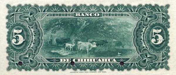 Cows