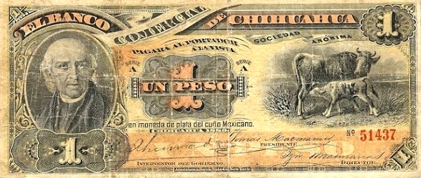  Miguel Hidalgo y Costilla, cow and calf