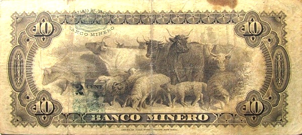 Cows, sheep