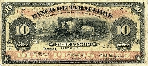 Cows