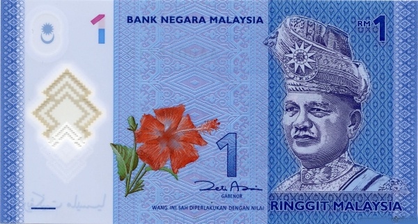  King Tuanku Abdul  Rahman, hibiscus