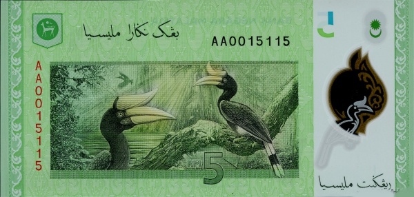  Rhinoceros  hornbills