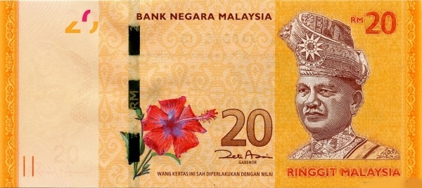  King Tuanku Abdul  Rahman, hibiscus
