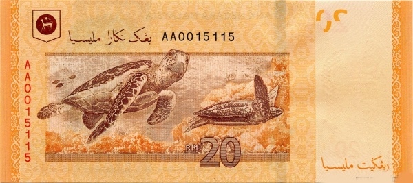  Hawksbill turtles