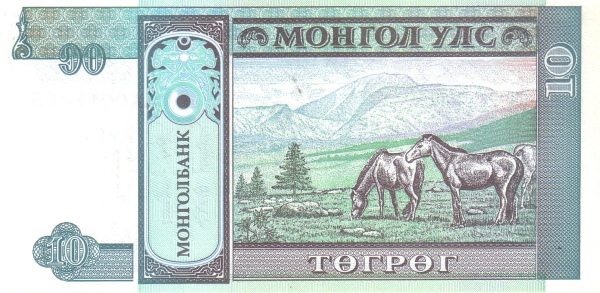  Horses