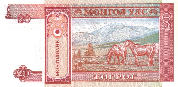  Horses