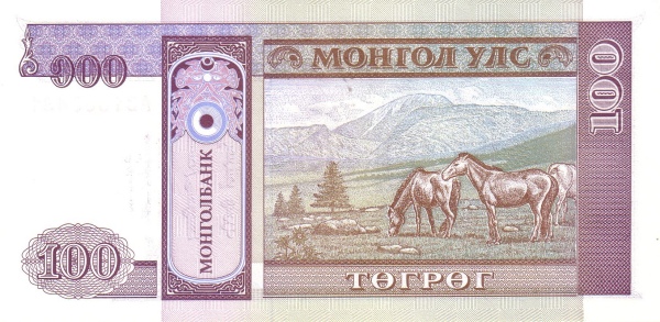  Horses