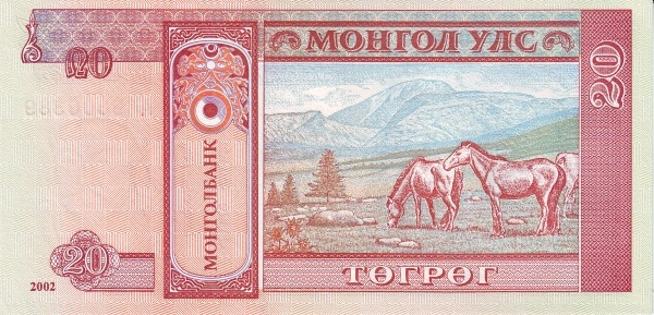  Horses